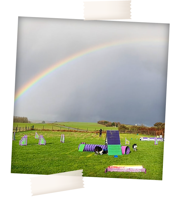 Isle of Wight Field Hire Rainbow